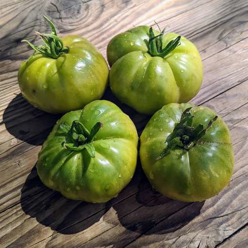 Lillian Marie Beefsteak Tomato