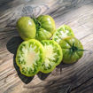 Lillian Marie Beefsteak Tomato