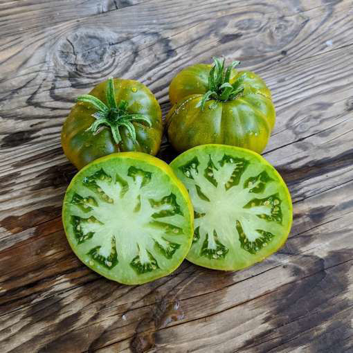 Max´s Large Green Beefsteak Tomato