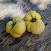 Minusinsk Mango Beefsteak Tomato