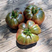 Ridge Runner Beefsteak Tomato