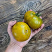 Sahar Zeljony Beefsteak Tomato