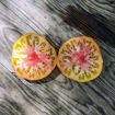 Texwine Beefsteak Tomato