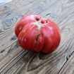 Millwood’s Inspiration Beefsteak Tomato