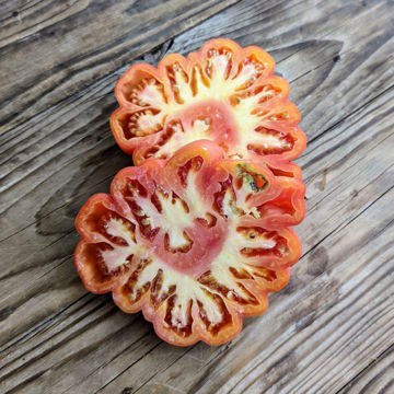 Rose Ple Beefsteak Tomato Rose Ple Beefsteak Tomato