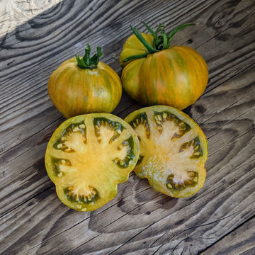 Sandra's Smile Beefsteak Tomato Sandra's Smile Beefsteak Tomato