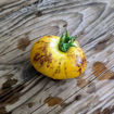 Chupa Chups Tomato