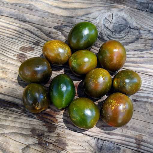 Bombonera Longkeeper Tomato