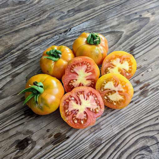 Achatado Longkeeper Tomato