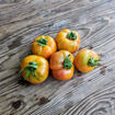 Achatado Longkeeper Tomato