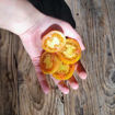 Caganer Longkeeper Tomato