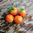 Cal Camalligat Longkeeper Tomato