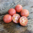 Castellar Longkeeper Tomato