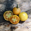 Castellar Longkeeper Tomato