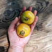 Castellar Longkeeper Tomato