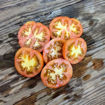 Mallorquí Longkeeper Tomato