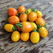 Montmelo Longkeeper Tomato