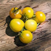 Novogodnij Longkeeper Tomato