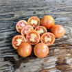 Del Tonet Longkeeper Tomato