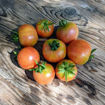 Banyalbufar Longkeeper Tomato