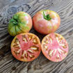 Canyisset Longkeeper Tomato