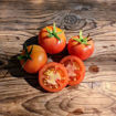 Mateta Longkeeper Tomato