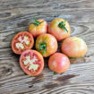 Mateta Longkeeper Tomato