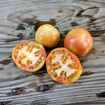 Punta Longkeeper Tomato