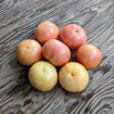 Punta Longkeeper Tomato