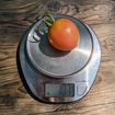 Solereta Longkeeper Tomato