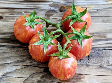 Show products in category Prince Picture for category Prince