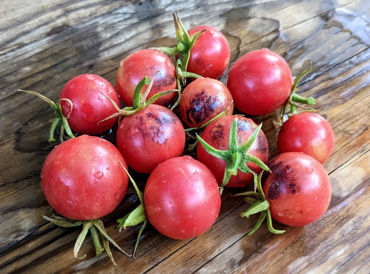 Show products in category All Picture for category All