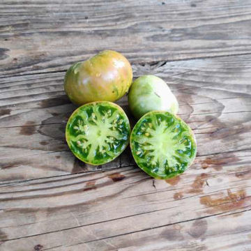 Blasphemous Rumours Beefsteak Tomato Blasphemous Rumours Beefsteak Tomato