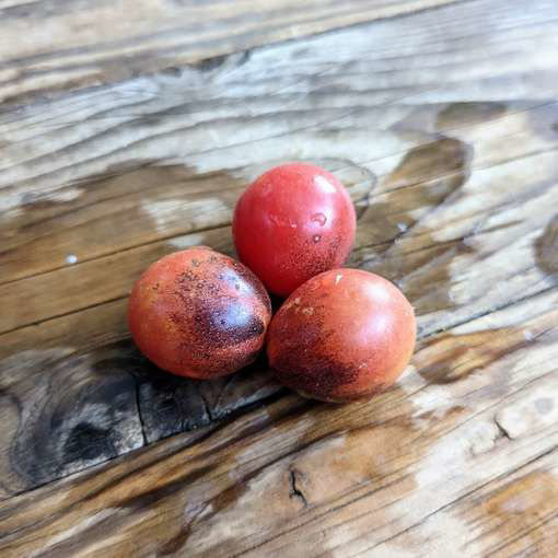 Charlotte Sometimes Cherry Tomato