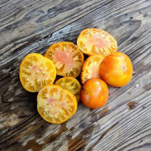 Ch-Check it Out Beefsteak Tomato-Meraki Seeds