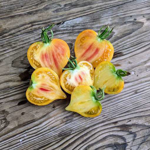 Come Undone Beefsteak Tomato