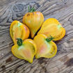Come Undone Beefsteak Tomato