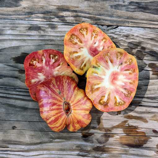 Everything Counts Beefsteak Tomato