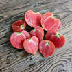 Gratitude Beefsteak Tomato