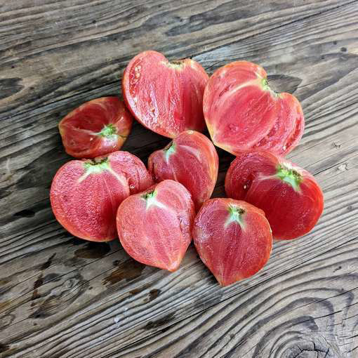 Gratitude Beefsteak Tomato