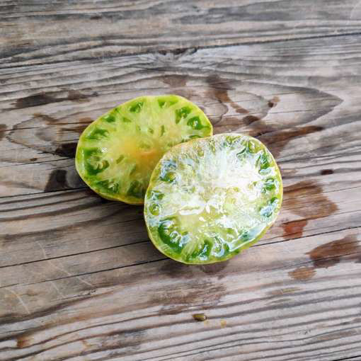 Hold Back the Rain Beefsteak Tomato