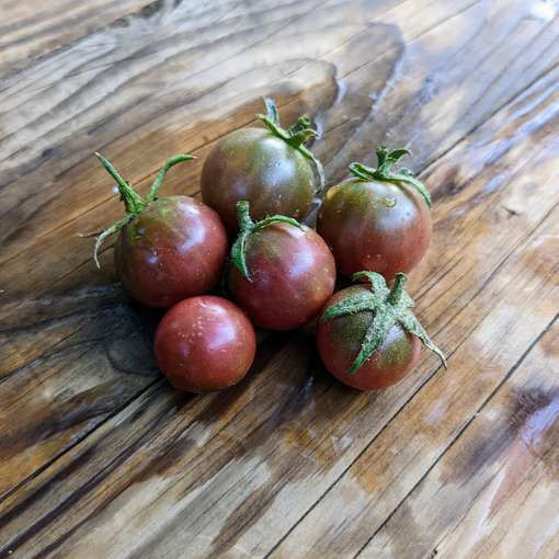 Hungry Like the Wolf  Cherry Tomato