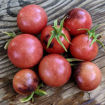 Just Can’t Get Enough Cherry Tomato