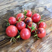 Just Can’t Get Enough Cherry Tomato