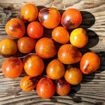 Master Cherry Tomato
