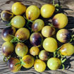 New Moon on Monday Cherry Tomato