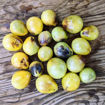 New Moon on Monday Cherry Tomato