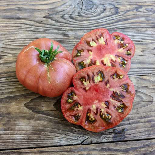 Notorious Beefsteak Tomato