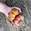 Notorious Beefsteak Tomato