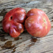 Notorious Beefsteak Tomato